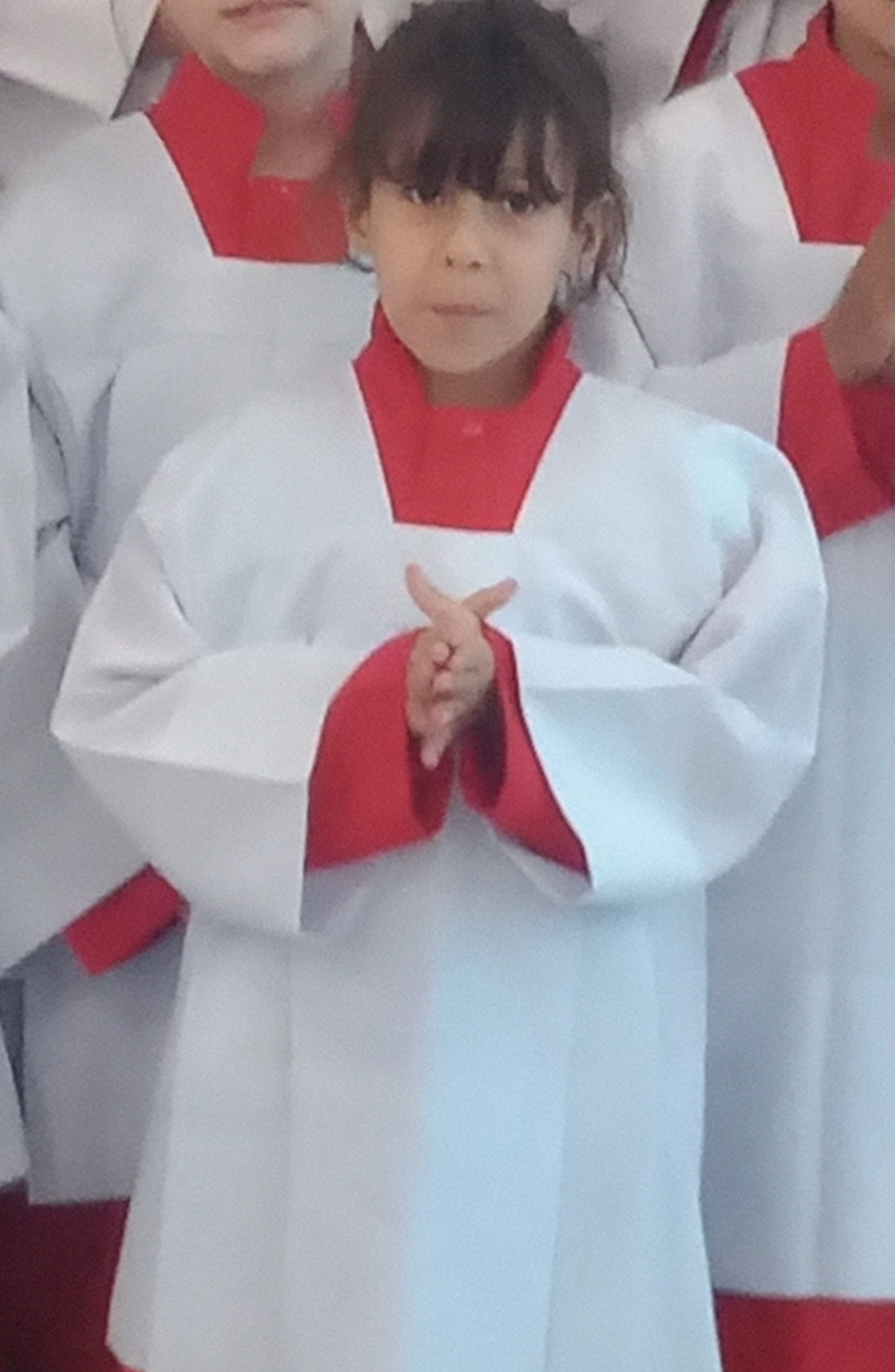 Larissa Vitória Demenech
